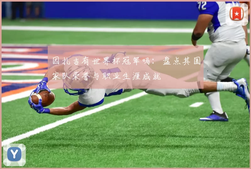 因扎吉有世界杯冠军吗:盘点其国家队荣誉与职业生涯成就