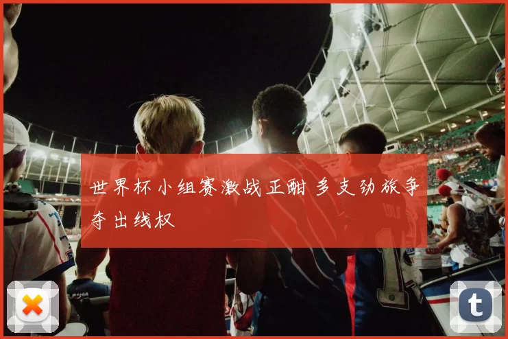 世界杯小组赛激战正酣 多支劲旅争夺出线权