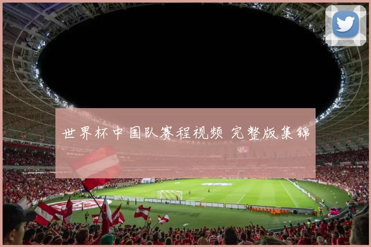 世界杯中国队赛程视频 完整版集锦