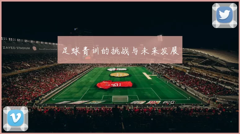 足球青训的挑战与未来发展