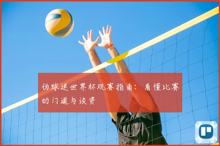 伪球迷世界杯观赛指南：看懂比赛的门道与谈资