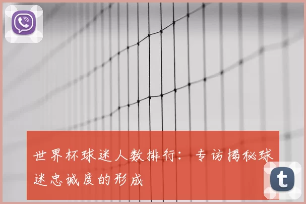 世界杯球迷人数排行：专访揭秘球迷忠诚度的形成