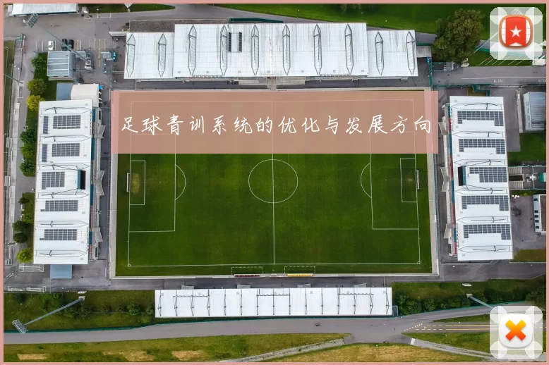 足球青训系统的优化与发展方向