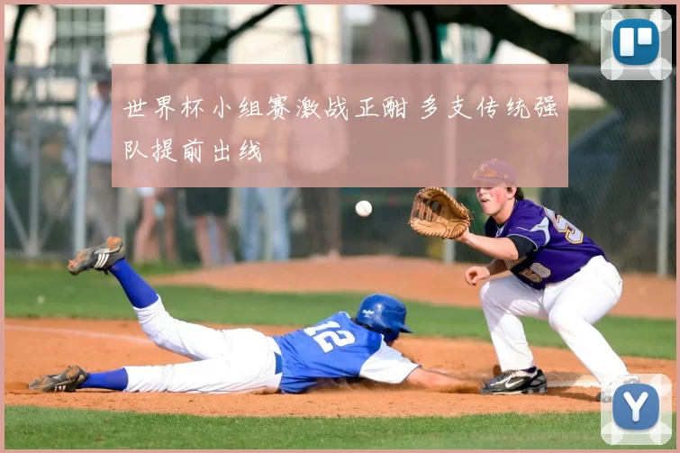 世界杯小组赛激战正酣 多支传统强队提前出线