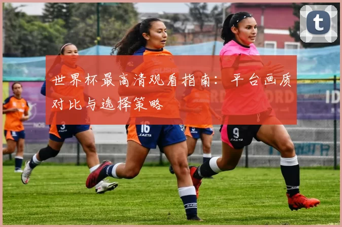 世界杯最高清观看指南:平台画质对比与选择策略
