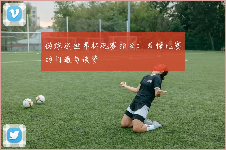 伪球迷世界杯观赛指南:看懂比赛的门道与谈资