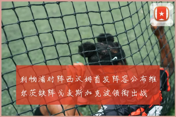 利物浦对阵西汉姆首发阵容公布维尔茨缺阵戈麦斯加克波领衔出战
