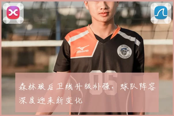 森林狼后卫线升级补强，球队阵容深度迎来新变化