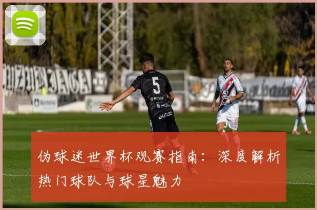 伪球迷世界杯观赛指南：深度解析热门球队与球星魅力