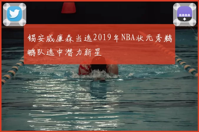锡安威廉森当选2019年NBA状元秀鹈鹕队选中潜力新星