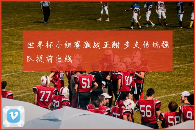 世界杯小组赛激战正酣 多支传统强队提前出线