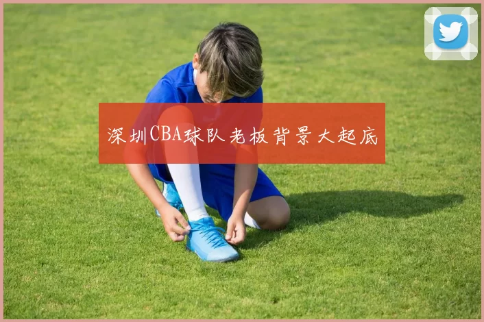 深圳CBA球队老板背景大起底