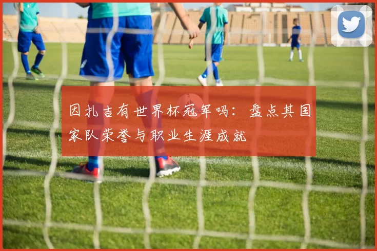 因扎吉有世界杯冠军吗：盘点其国家队荣誉与职业生涯成就