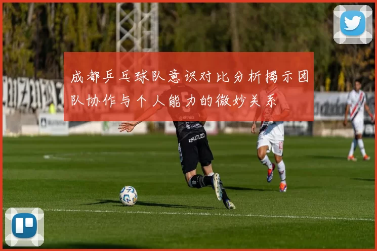 成都乒乓球队意识对比分析揭示团队协作与个人能力的微妙关系