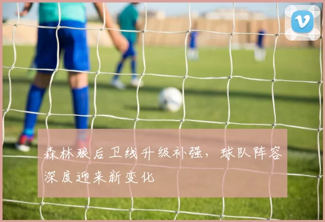 森林狼后卫线升级补强,球队阵容深度迎来新变化