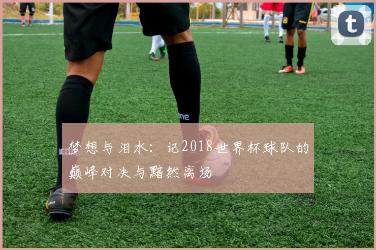 梦想与泪水:记2018世界杯球队的巅峰对决与黯然离场