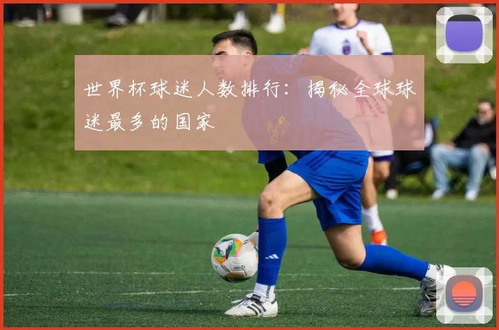 世界杯球迷人数排行:揭秘全球球迷最多的国家