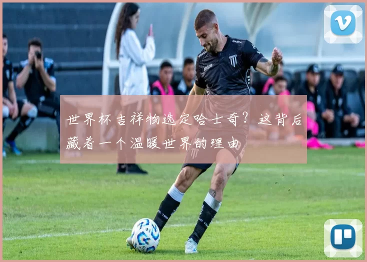 世界杯吉祥物选定哈士奇？这背后藏着一个温暖世界的理由