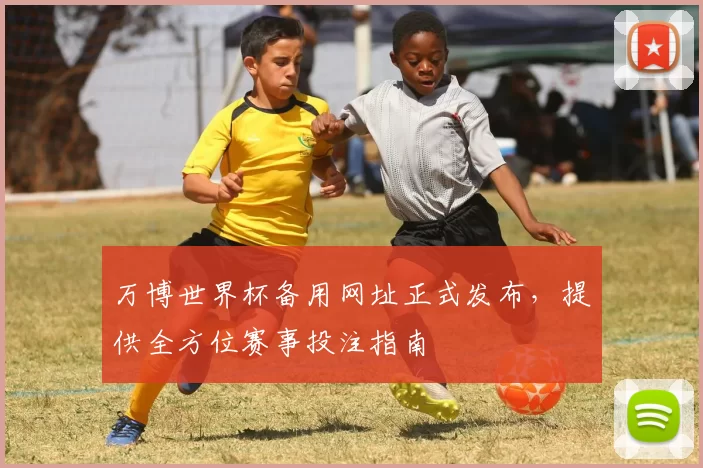 万博世界杯备用网址正式发布,提供全方位赛事投注指南